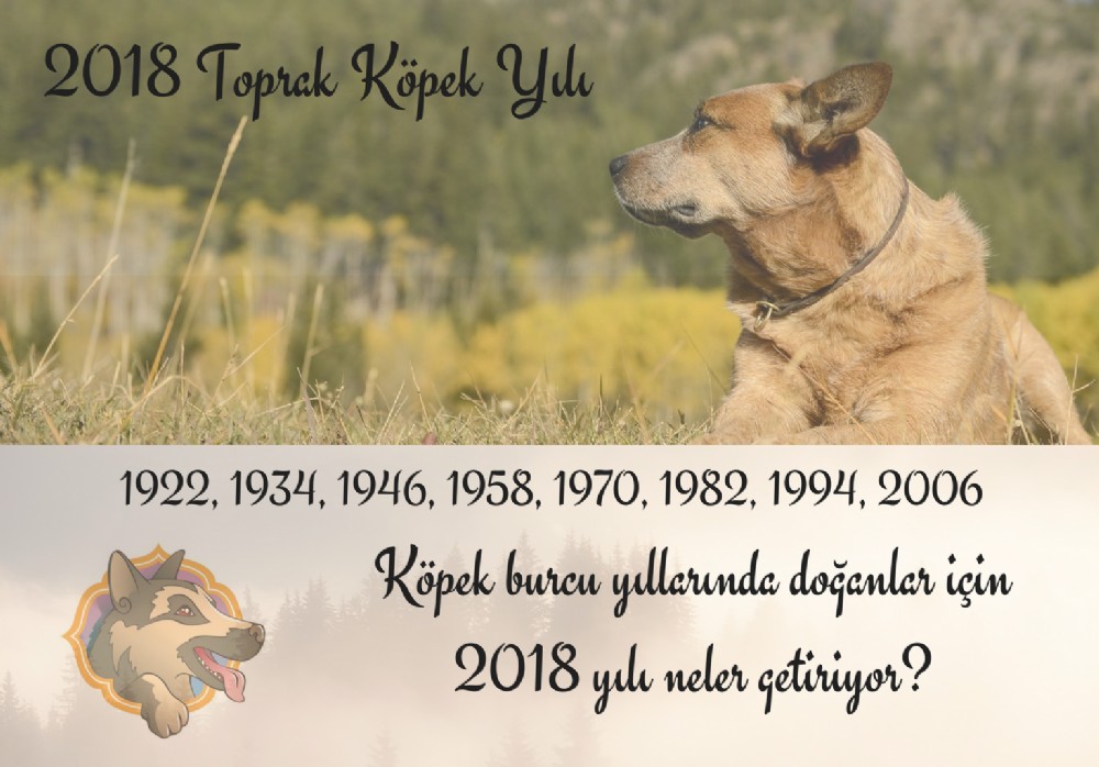 Kpek Burcu yllarnda doanlar iin 2018 yl neler getiriyor?