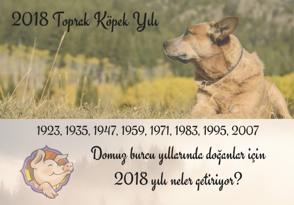 Domuz Burcu yllarnda doanlar iin 2018 yl neler getiriyor?