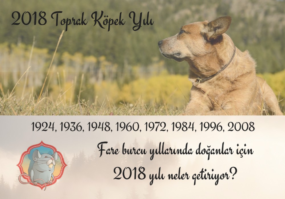 Fare Burcu yllarnda doanlar iin 2018 yl neler getiriyor?