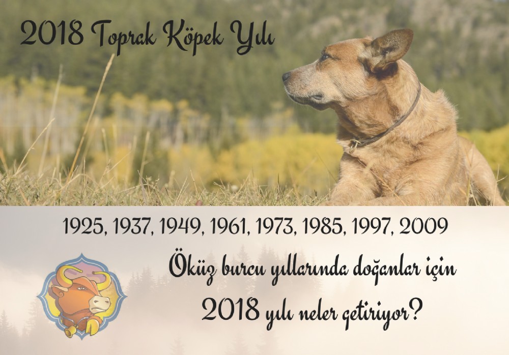 kz Burcu yllarnda doanlar iin 2018 yl neler getiriyor?