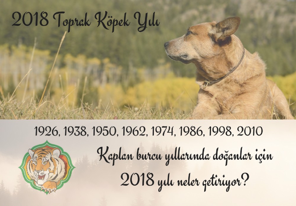 Kaplan Burcu yllarnda doanlar iin 2018 yl neler getiriyor?