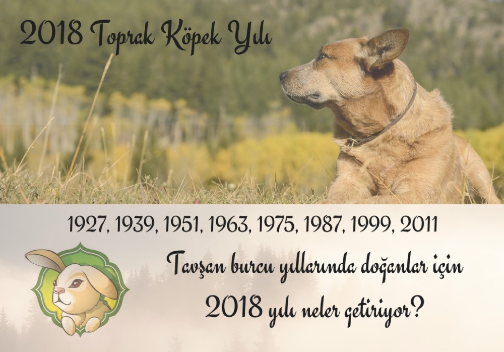 Tavan Burcu yllarnda doanlar iin 2018 yl neler getiriyor?