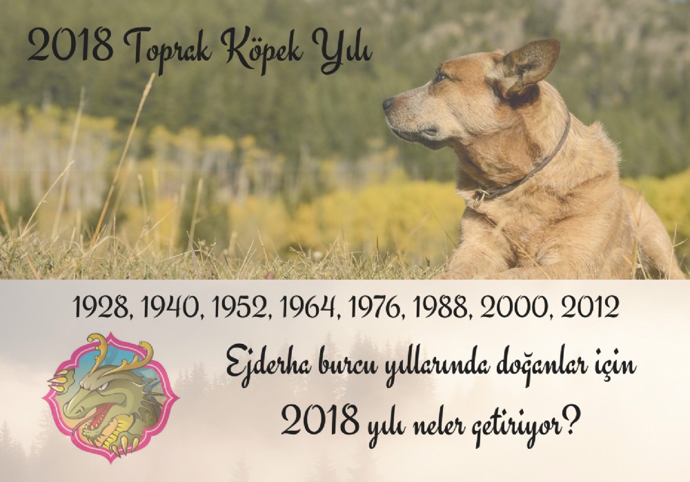 Ejderha Burcu yllarnda doanlar iin 2018 yl neler getiriyor?