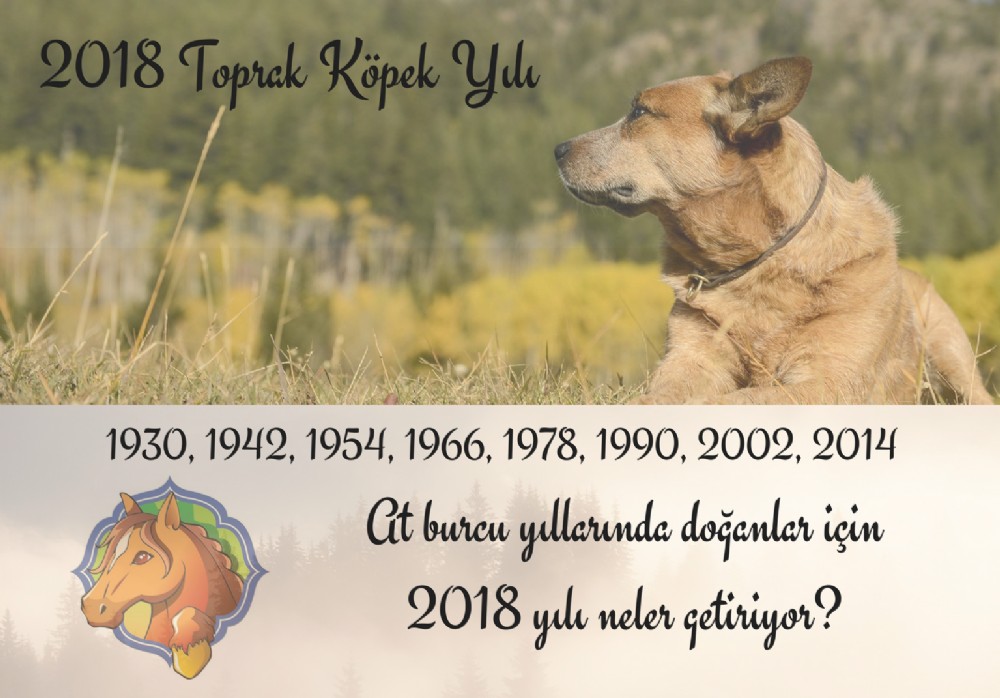 At Burcu yllarnda doanlar iin 2018 yl neler getiriyor?