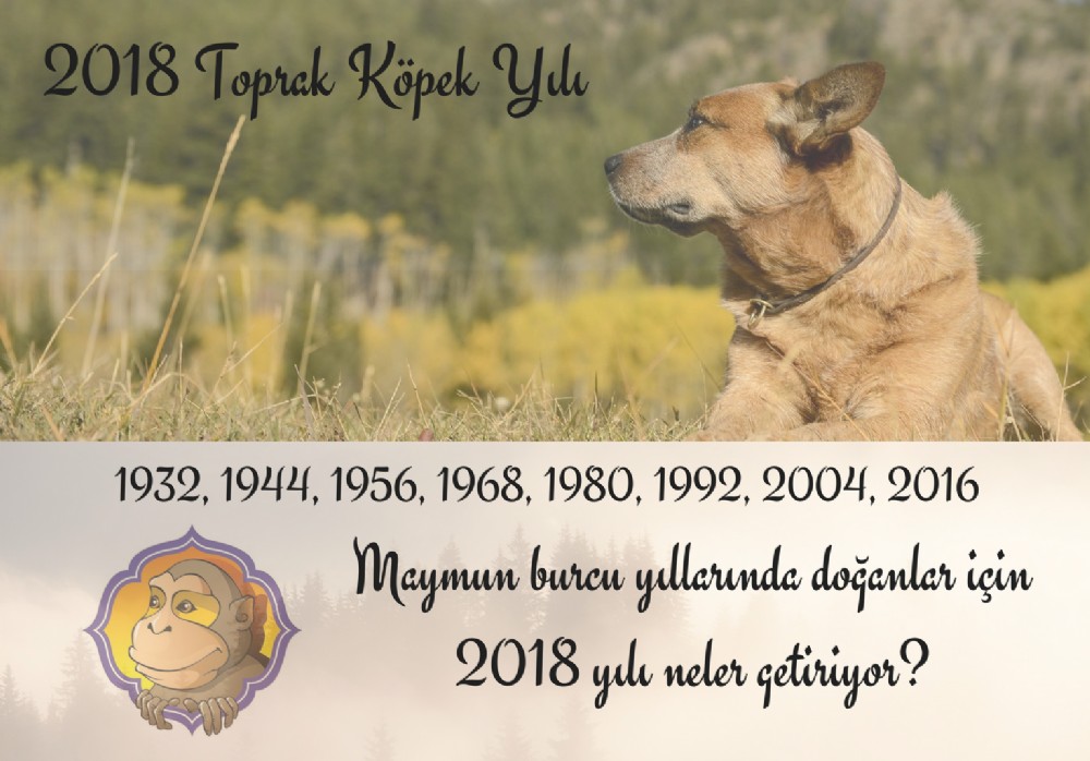 Maymun Burcu yllarnda doanlar iin 2018 yl neler getiriyor?