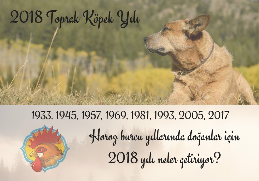 Horoz Burcu yllarnda doanlar iin 2018 yl neler getiriyor?