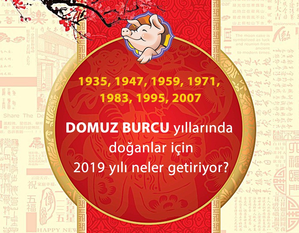 Domuz Burcu yllarnda doanlar iin 2019 yl neler getiriyor?