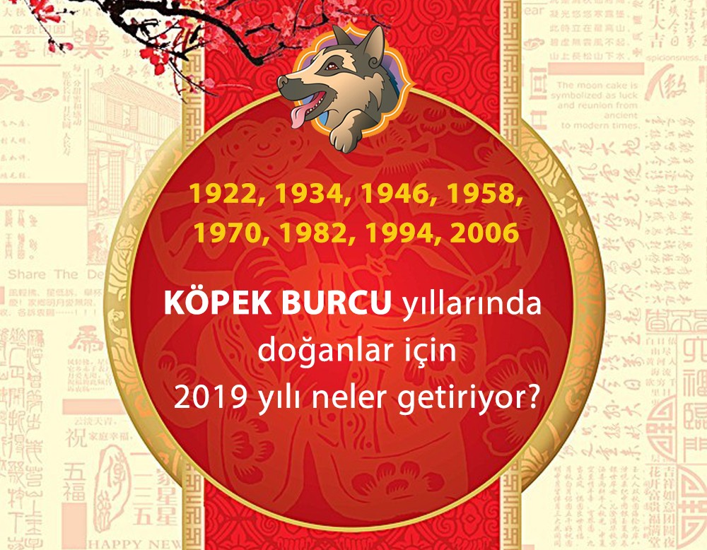 Kpek Burcu yllarnda doanlar iin 2019 yl neler getiriyor?