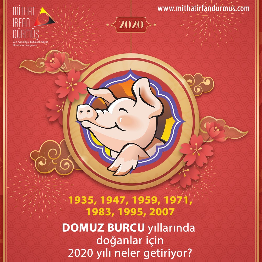 1935, 1947, 1959, 1971, 1983, 1995, 2007 Domuz Burcu ylnda doanlar iin 2020 neler getiriyor?